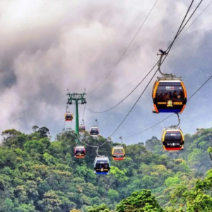 Tour Đà Lạt Giá Rẻ